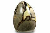Free-Standing, Polished Septarian - Madagascar #258641-1